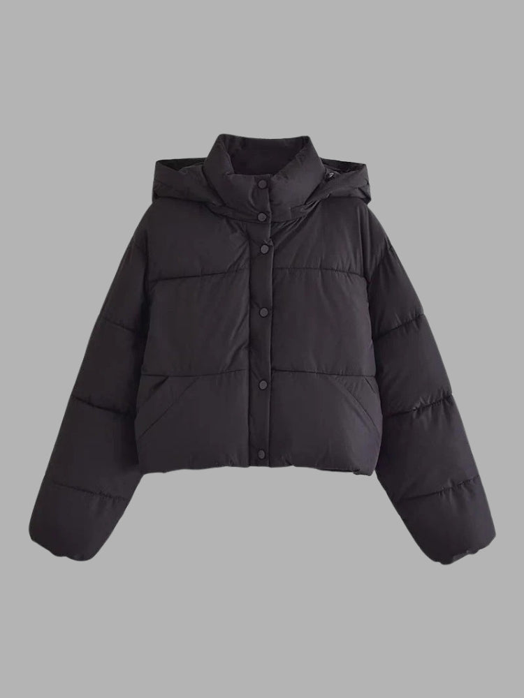 Dita - Glänzende Damen Pufferjacke Mit Kapuze & Kragen