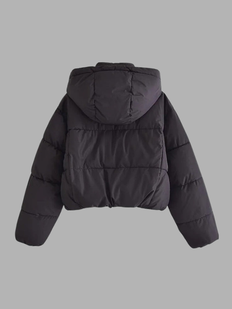 Dita - Glänzende Damen Pufferjacke Mit Kapuze & Kragen